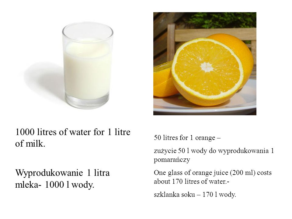 1000 litres of water for 1 litre of milk. Wyprodukowanie 1 litra mleka l wody.