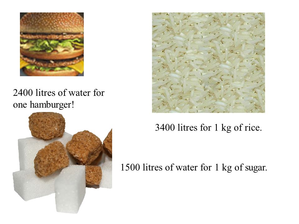 2400 litres of water for one hamburger litres for 1 kg of rice.