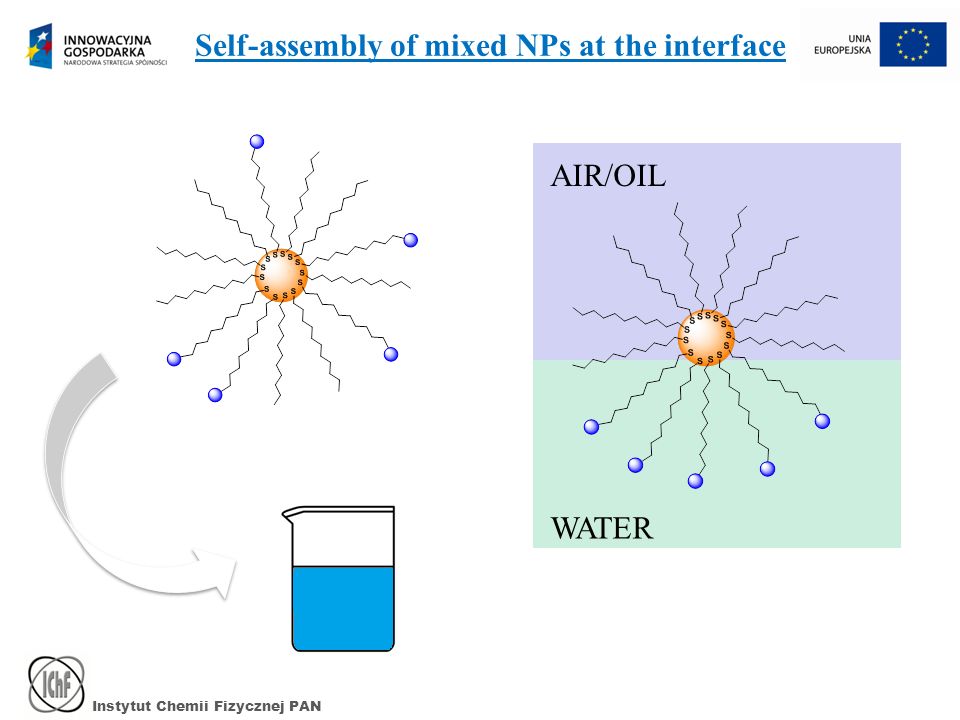 Instytut Chemii Fizycznej PAN AIR/OIL WATER Self-assembly of mixed NPs at the interface