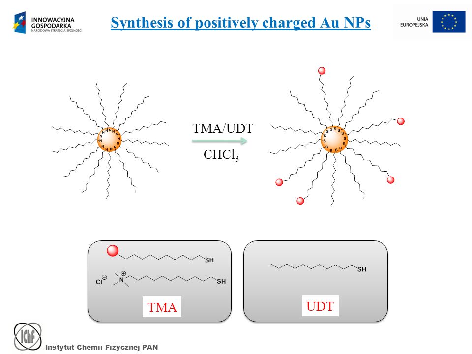 Instytut Chemii Fizycznej PAN TMA/UDT CHCl 3 TMA UDT Synthesis of positively charged Au NPs