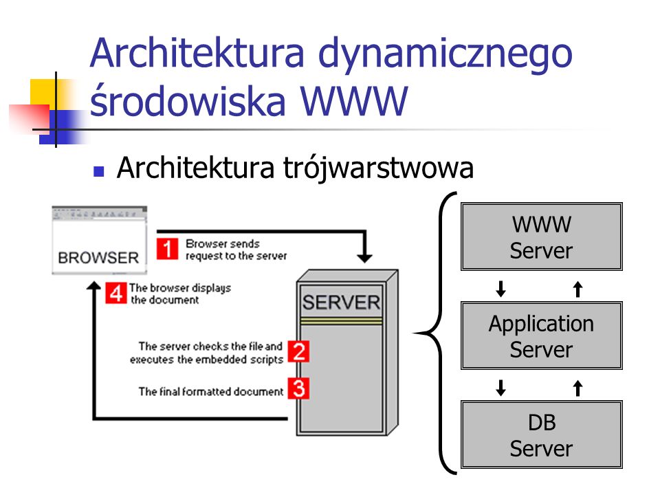 Architektura dynamicznego środowiska WWW Architektura trójwarstwowa WWW Server Application Server DB Server
