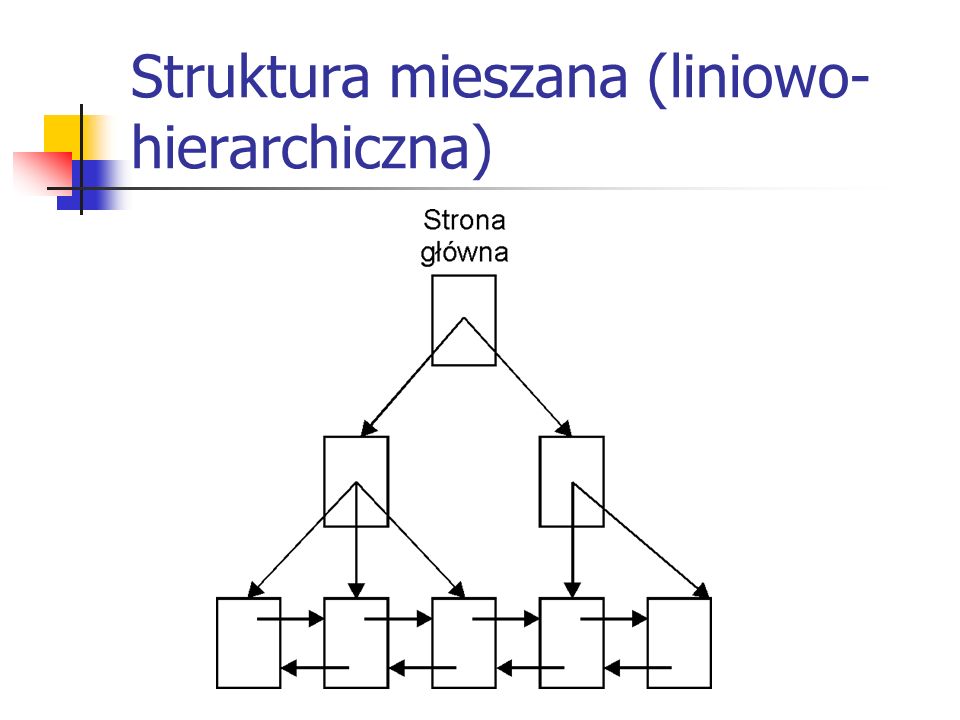 Struktura mieszana (liniowo- hierarchiczna)