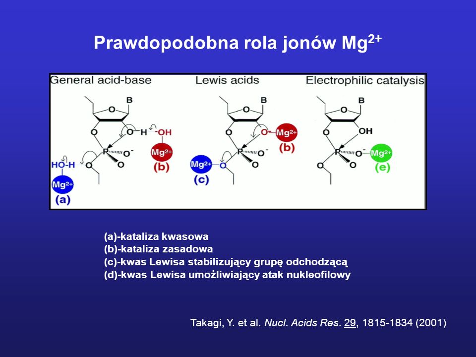 Prawdopodobna rola jonów Mg 2+ (a)-kataliza kwasowa (b)-kataliza zasadowa (c)-kwas Lewisa stabilizujący grupę odchodzącą (d)-kwas Lewisa umożliwiający atak nukleofilowy Takagi, Y.