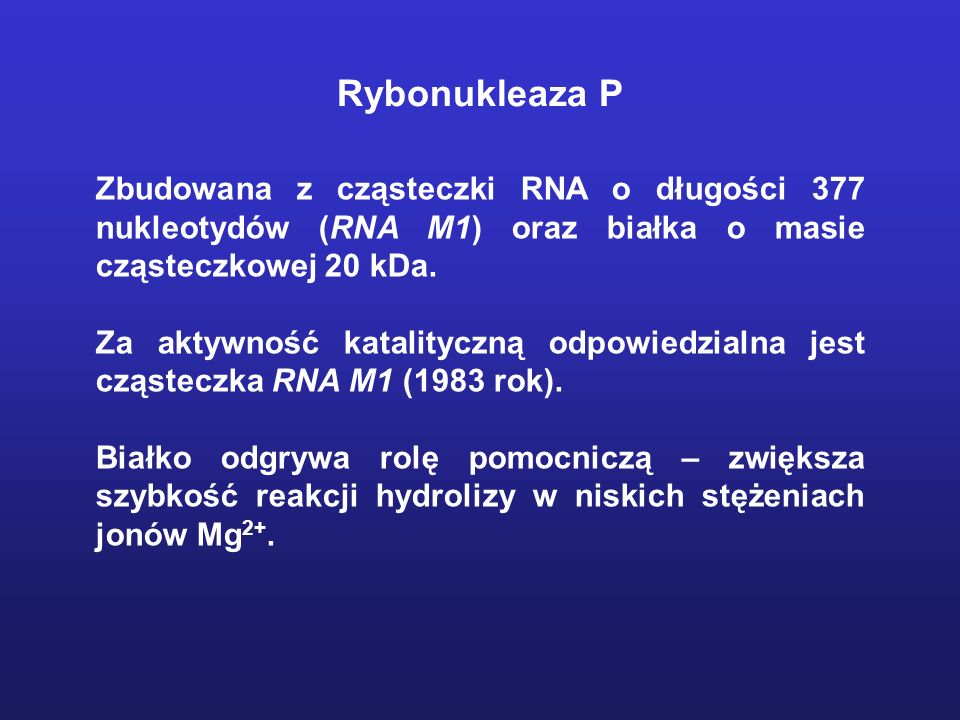 Rybonukleaza P Zbudowana z cząsteczki RNA o długości 377 nukleotydów (RNA M1) oraz białka o masie cząsteczkowej 20 kDa.