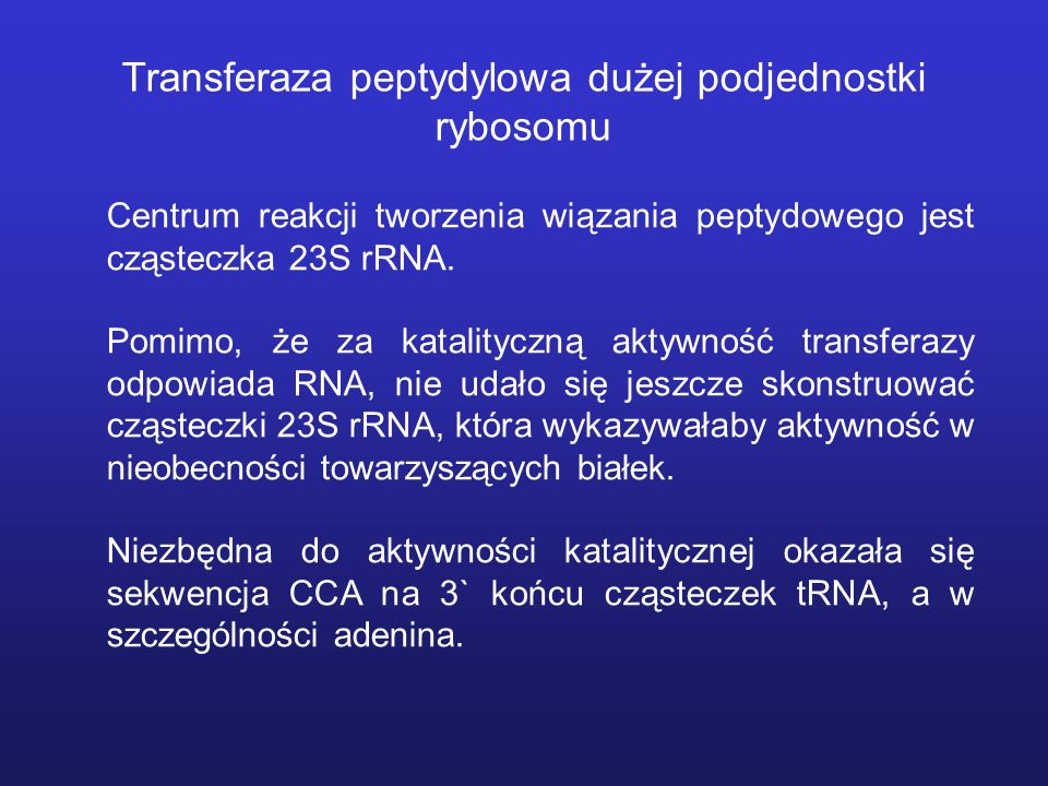 Transferaza peptydylowa dużej podjednostki rybosomu Centrum reakcji tworzenia wiązania peptydowego jest cząsteczka 23S rRNA.