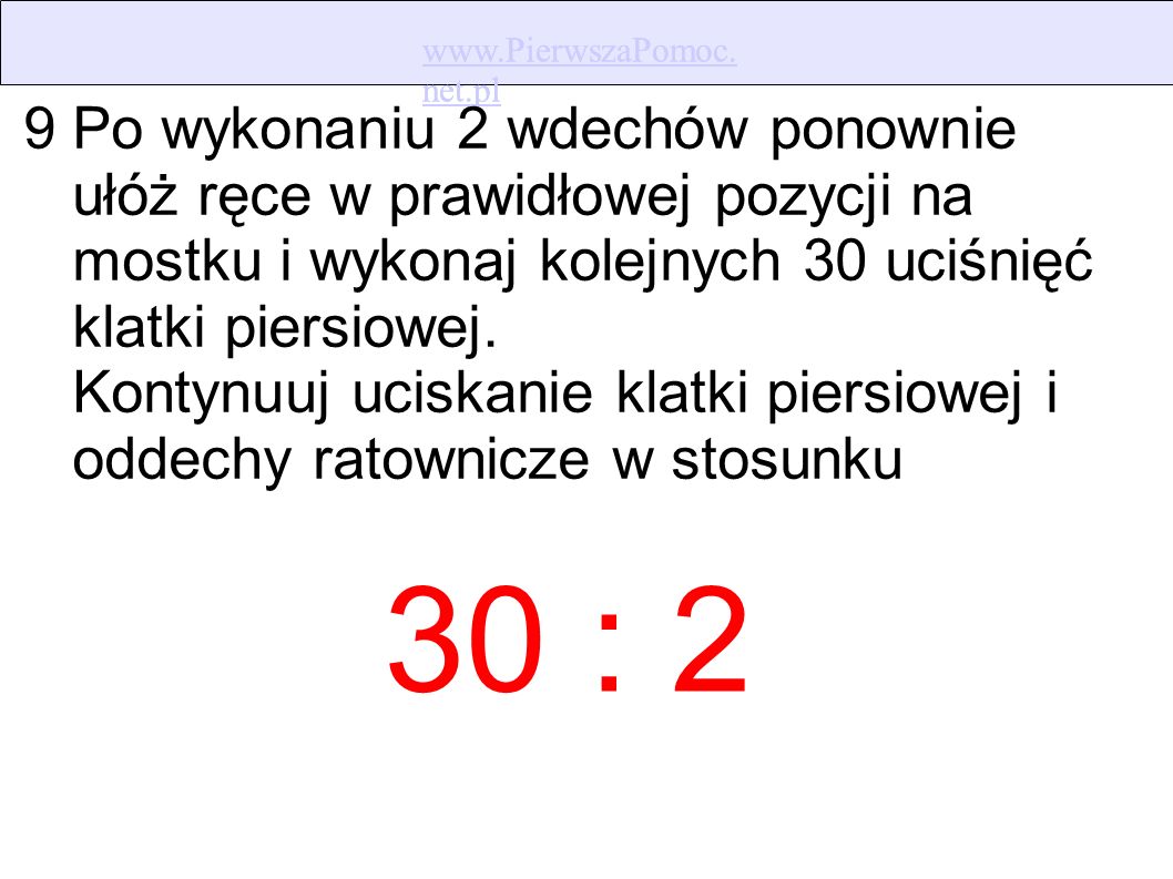 net.pl