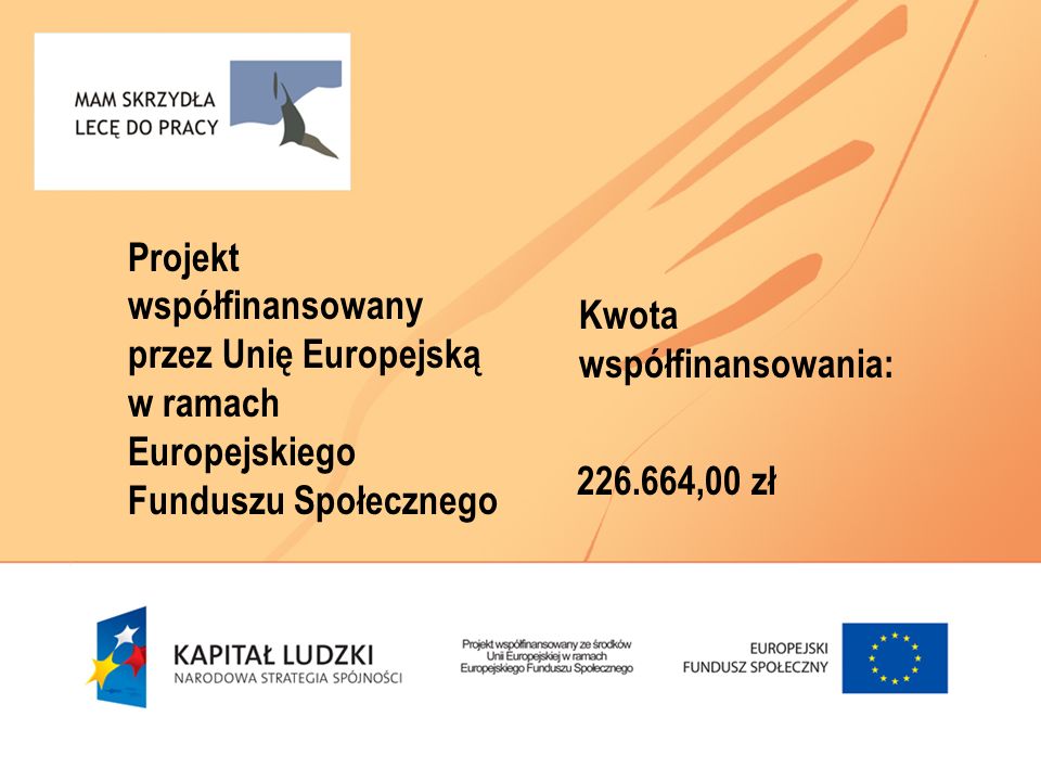Projekt współfinansowany przez Unię Europejską w ramach Europejskiego Funduszu Społecznego Kwota współfinansowania: ,00 zł