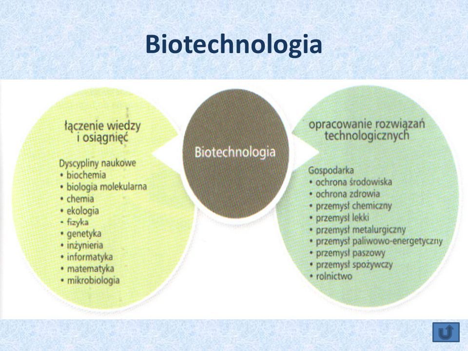 Biotechnologia Tradycyjna Zastosowanie Biotechnologii W Ochronie