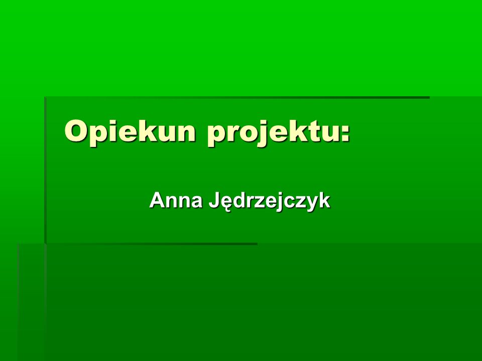 Opiekun projektu: Anna Jędrzejczyk