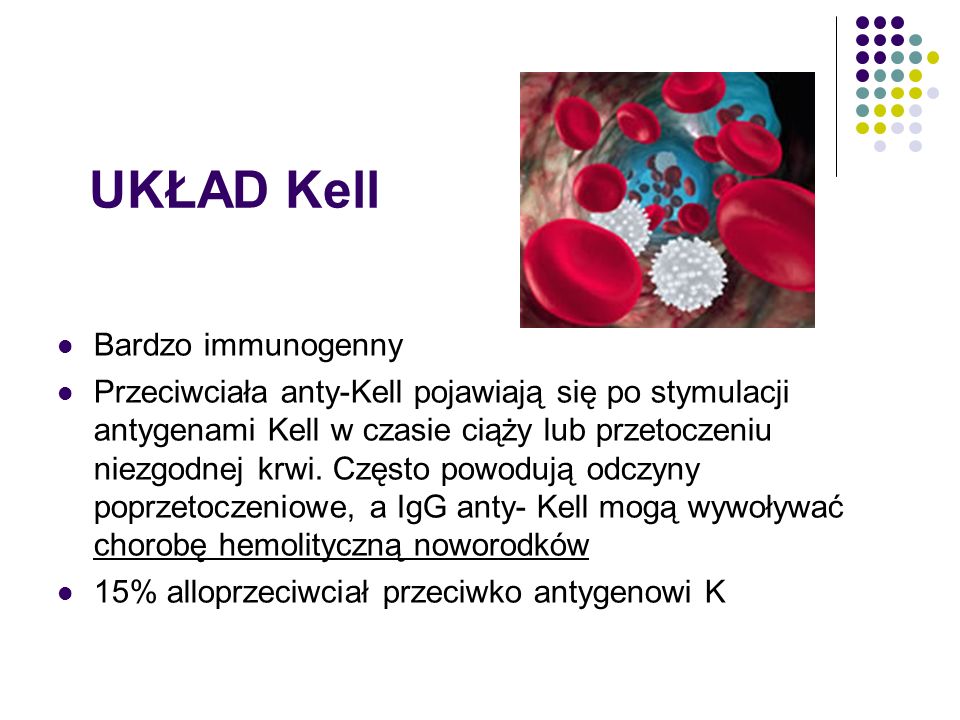 UKŁAD Kell Bardzo immunogenny Przeciwciała anty-Kell pojawiają się po stymulacji antygenami Kell w czasie ciąży lub przetoczeniu niezgodnej krwi.