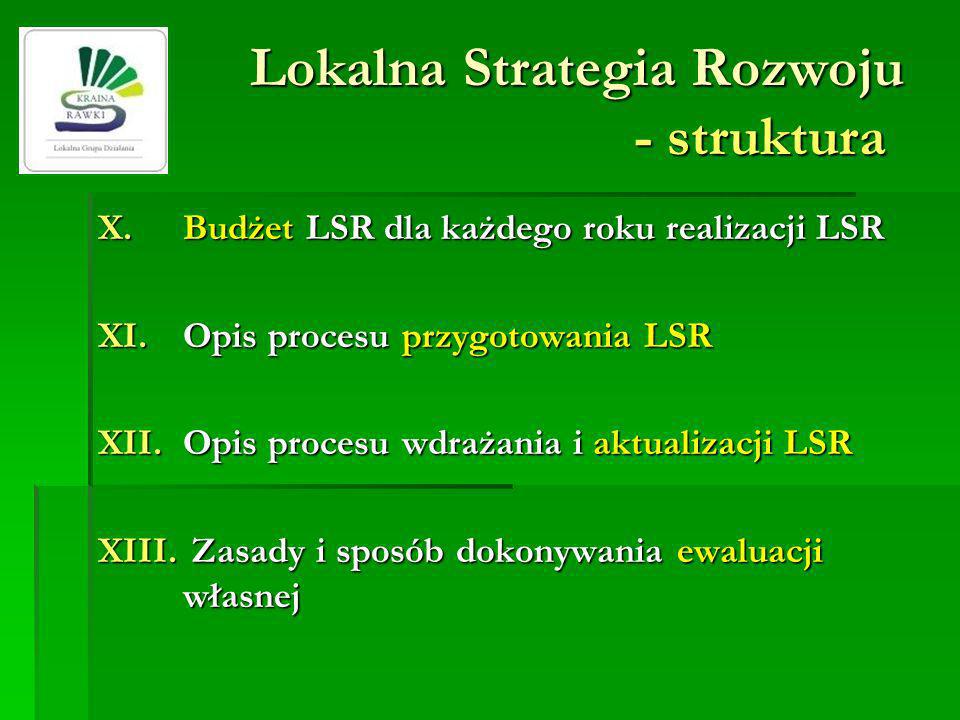 Lokalna Strategia Rozwoju - struktura X.Budżet LSR dla każdego roku realizacji LSR XI.Opis procesu przygotowania LSR XII.Opis procesu wdrażania i aktualizacji LSR XIII.