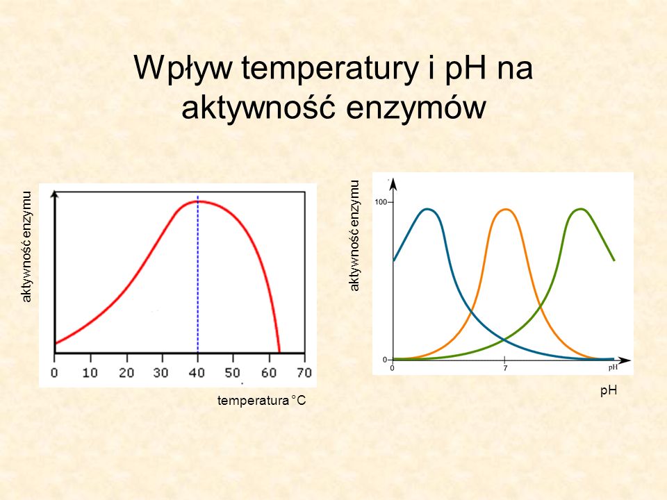 Wpływ temperatury i pH na aktywność enzymów temperatura °C aktywność enzymu pH