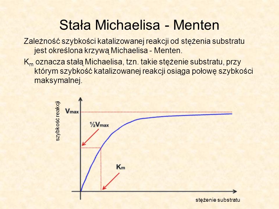 Stała Michaelisa - Menten Zależność szybkości katalizowanej reakcji od stężenia substratu jest określona krzywą Michaelisa - Menten.
