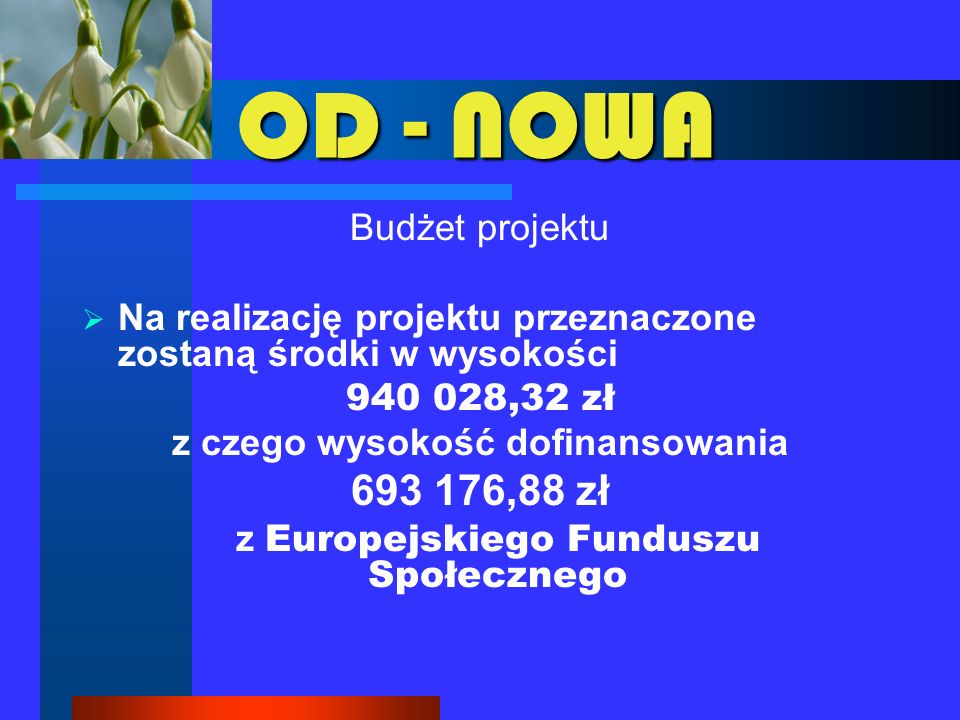 OD - NOWA Budżet projektu Na realizację projektu przeznaczone zostaną środki w wysokości ,32 zł z czego wysokość dofinansowania ,88 zł z Europejskiego Funduszu Społecznego