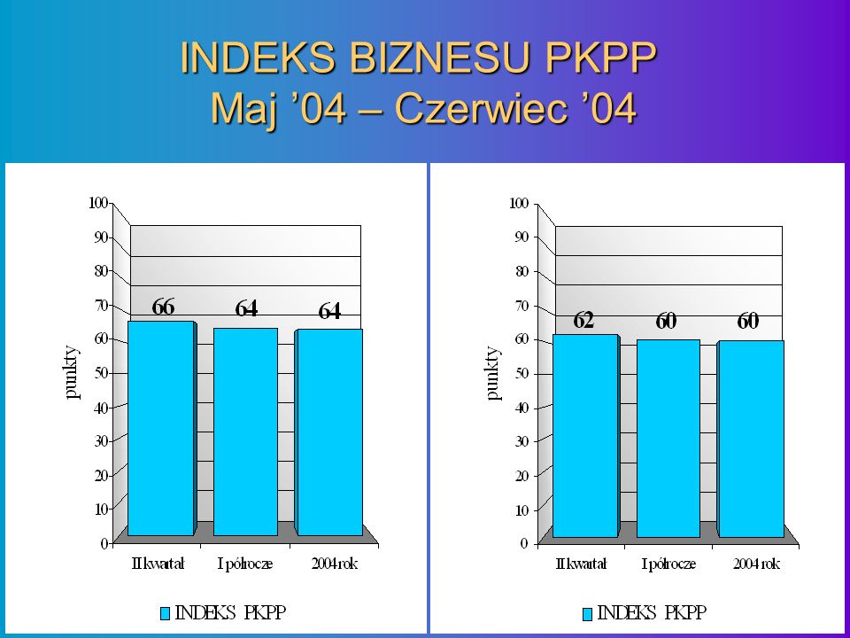 INDEKS BIZNESU PKPP Maj 04 – Czerwiec 04