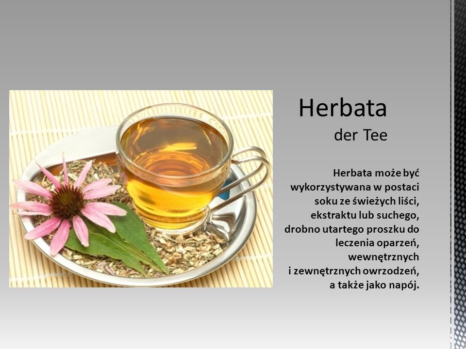 Herbata może być wykorzystywana w postaci soku ze świeżych liści, ekstraktu lub suchego, drobno utartego proszku do leczenia oparzeń, wewnętrznych i zewnętrznych owrzodzeń, a także jako napój.