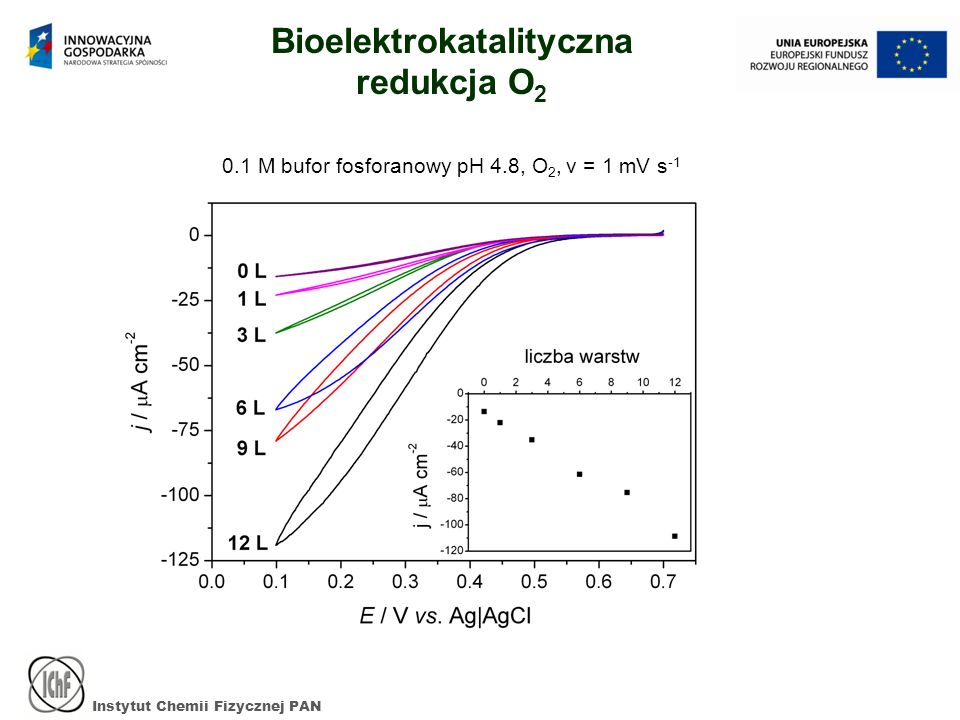 Instytut Chemii Fizycznej PAN Bioelektrokatalityczna redukcja O M bufor fosforanowy pH 4.8, O 2, v = 1 mV s -1