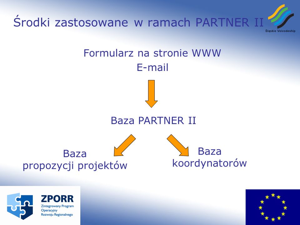 Środki zastosowane w ramach PARTNER II Formularz na stronie WWW  Baza PARTNER II Baza propozycji projektów Baza koordynatorów