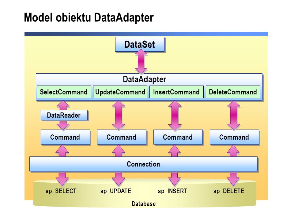 Model obiektu DataAdapter sp_SELECT Command SelectCommandUpdateCommandInsertCommandDeleteCommand DataAdapter Command Connection sp_UPDATEsp_INSERTsp_DELETE Database DataSet DataReader