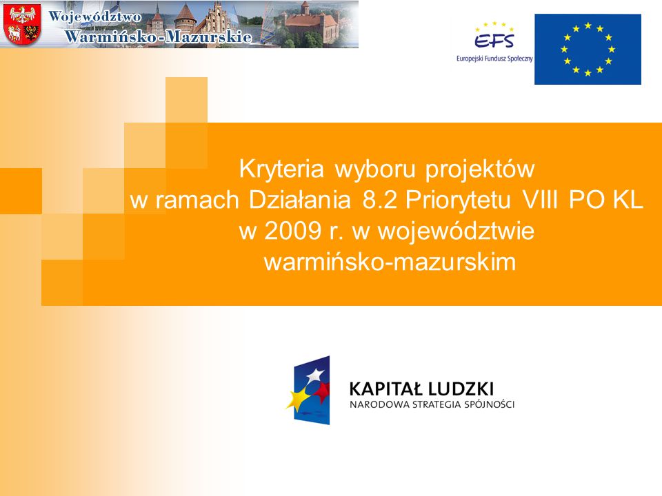 Kryteria wyboru projektów w ramach Działania 8.2 Priorytetu VIII PO KL w 2009 r.