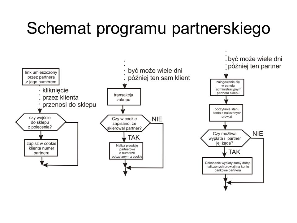 Schemat programu partnerskiego