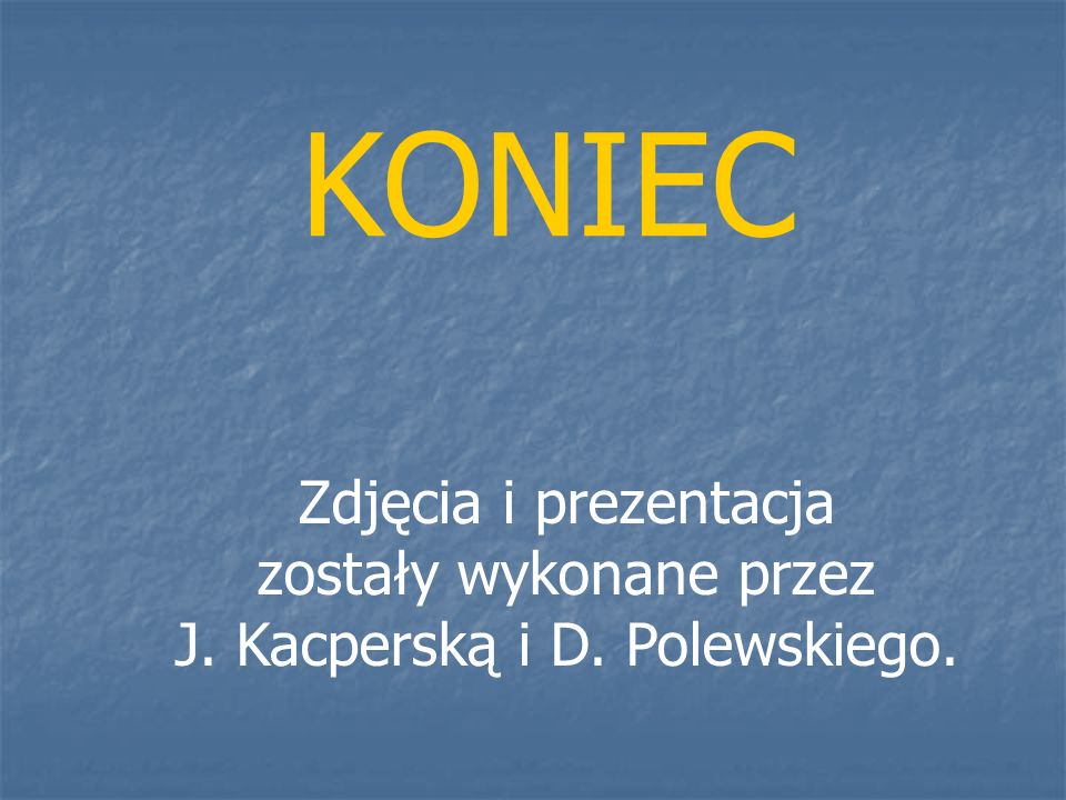 Zdjęcia i prezentacja zostały wykonane przez J. Kacperską i D. Polewskiego. KONIEC