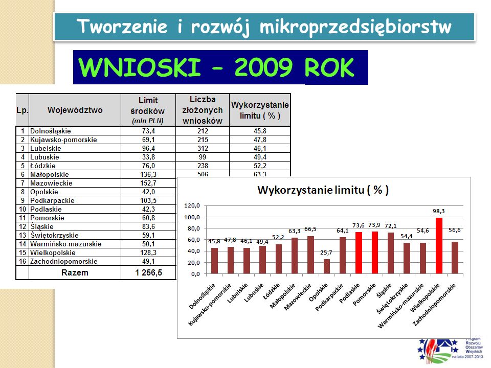 Tworzenie i rozwój mikroprzedsiębiorstw WNIOSKI – 2009 ROK