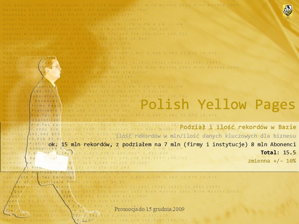 Polish Yellow Pages Podział i ilość rekordów w Bazie ilość rekordów w mln/ilość danych kluczowych dla biznesu ok.