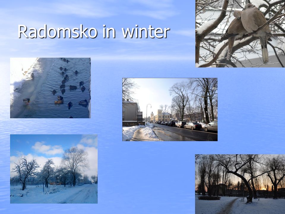 Radomsko in winter