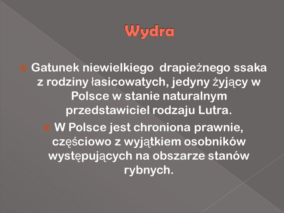 Gatunek niewielkiego drapie ż nego ssaka z rodziny ł asicowatych, jedyny ż yj ą cy w Polsce w stanie naturalnym przedstawiciel rodzaju Lutra.