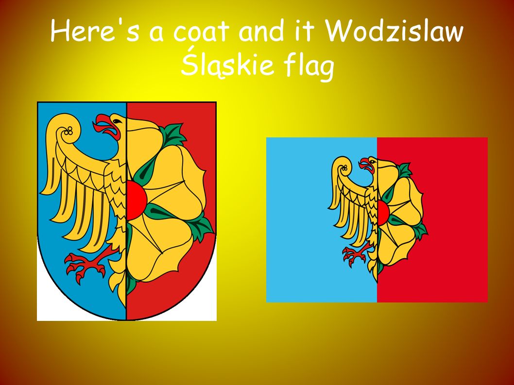 Here s a coat and it Wodzislaw Śląskie flag