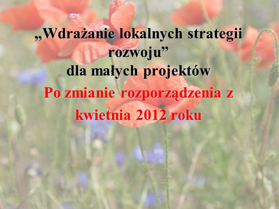 Wdrażanie lokalnych strategii rozwoju dla małych projektów Po zmianie rozporządzenia z kwietnia 2012 roku