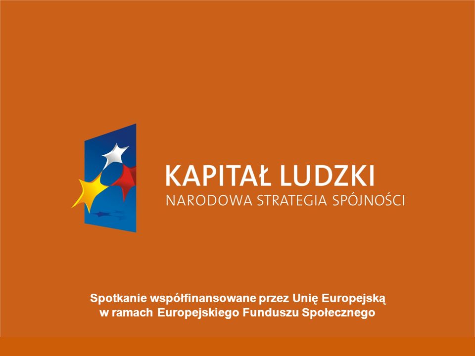 Spotkanie współfinansowane przez Unię Europejską w ramach Europejskiego Funduszu Społecznego