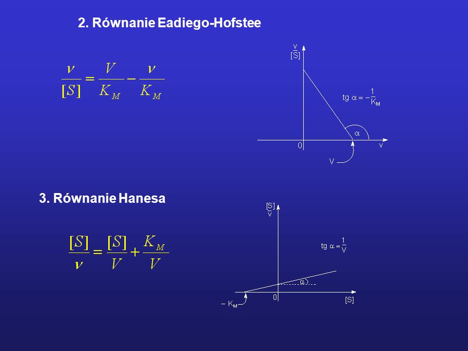 2. Równanie Eadiego-Hofstee 3. Równanie Hanesa
