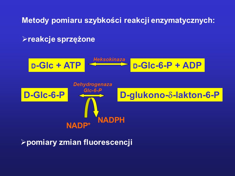 Metody pomiaru szybkości reakcji enzymatycznych: reakcje sprzężone D -Glc + ATP D -Glc-6-P + ADP D-Glc-6-P D-glukono- -lakton-6-P NADP + NADPH Dehydrogenaza Glc-6-P Heksokinaza pomiary zmian fluorescencji