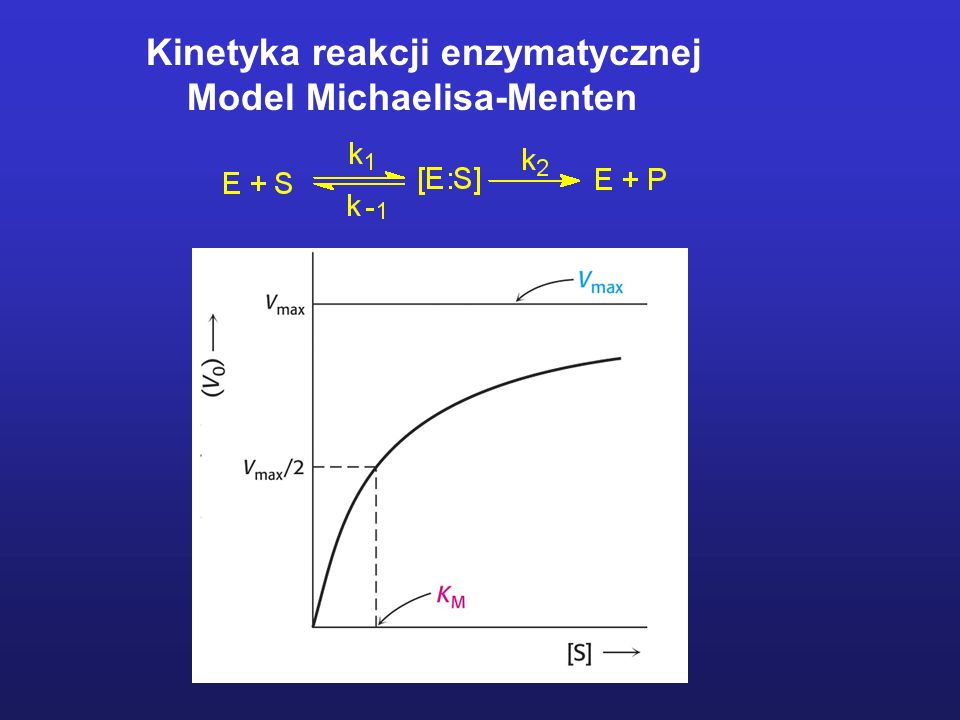Kinetyka reakcji enzymatycznej Model Michaelisa-Menten