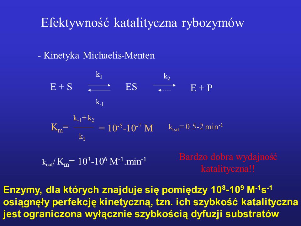 Efektywność katalityczna rybozymów - Kinetyka Michaelis-Menten E + SES E + P k1k1 k2k2 k-1k-1 Km=Km= k -1 + k 2 k1k1 = M k cat = min -1 k cat / K m = M -1.min -1 Bardzo dobra wydajność katalityczna!.