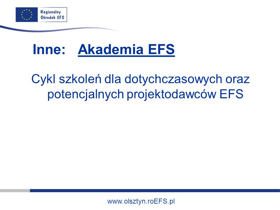 Inne: Akademia EFS Cykl szkoleń dla dotychczasowych oraz potencjalnych projektodawców EFS