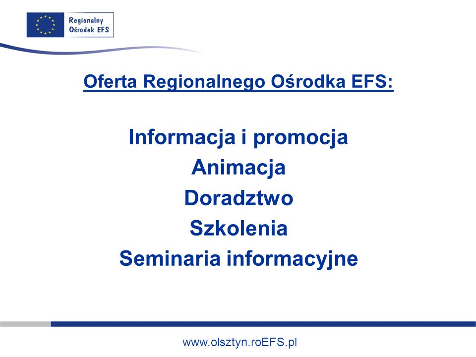 Oferta Regionalnego Ośrodka EFS: Informacja i promocja Animacja Doradztwo Szkolenia Seminaria informacyjne