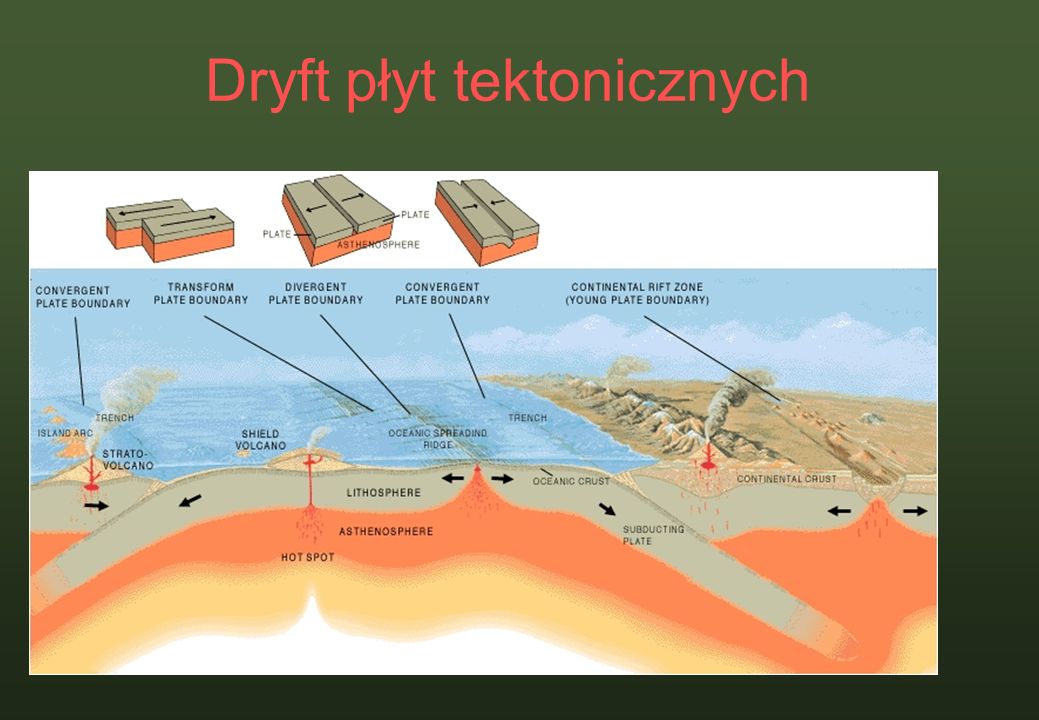 Dryft płyt tektonicznych