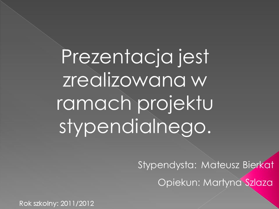 Stypendysta: Mateusz Bierkat Prezentacja jest zrealizowana w ramach projektu stypendialnego.
