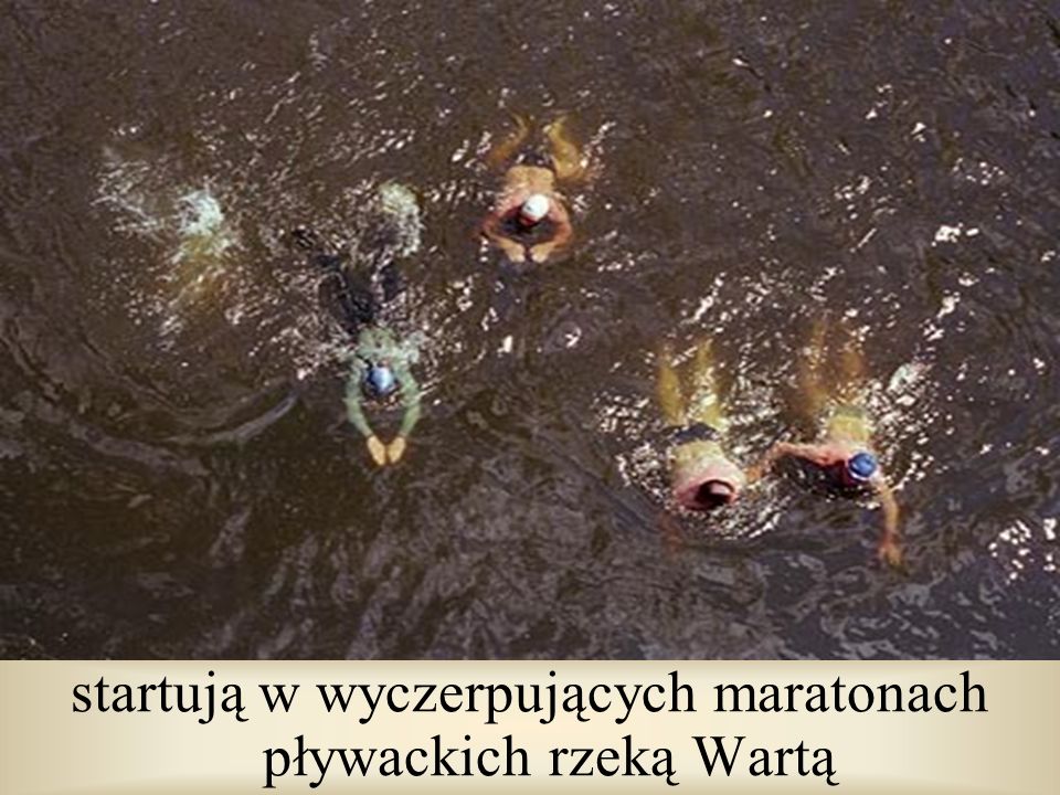 startują w wyczerpujących maratonach pływackich rzeką Wartą
