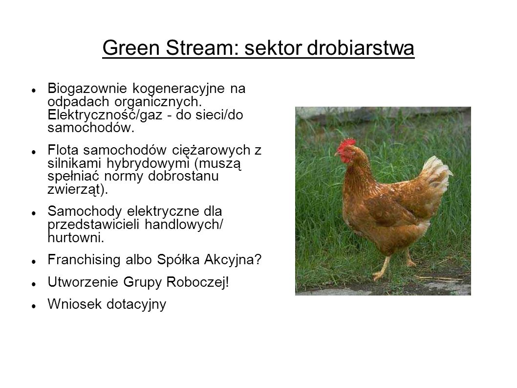 Green Stream: sektor drobiarstwa Biogazownie kogeneracyjne na odpadach organicznych.