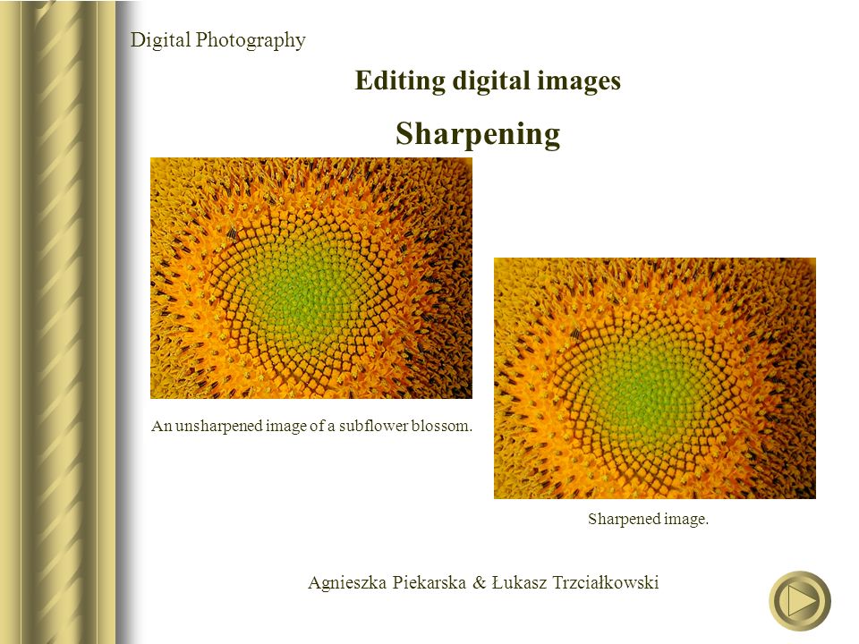 Agnieszka Piekarska & Łukasz Trzciałkowski Digital Photography Editing digital images Sharpening An unsharpened image of a subflower blossom.