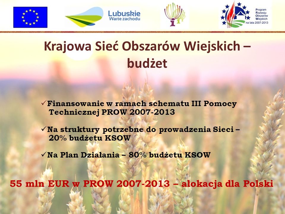 Krajowa Sieć Obszarów Wiejskich – budżet Finansowanie w ramach schematu III Pomocy Technicznej PROW Na struktury potrzebne do prowadzenia Sieci – 20% budżetu KSOW Na Plan Działania – 80% budżetu KSOW 55 mln EUR w PROW – alokacja dla Polski