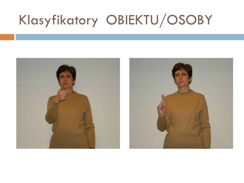 Klasyfikatory OBIEKTU/OSOBY