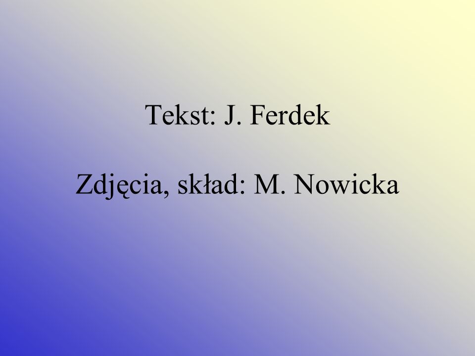 Tekst: J. Ferdek Zdjęcia, skład: M. Nowicka
