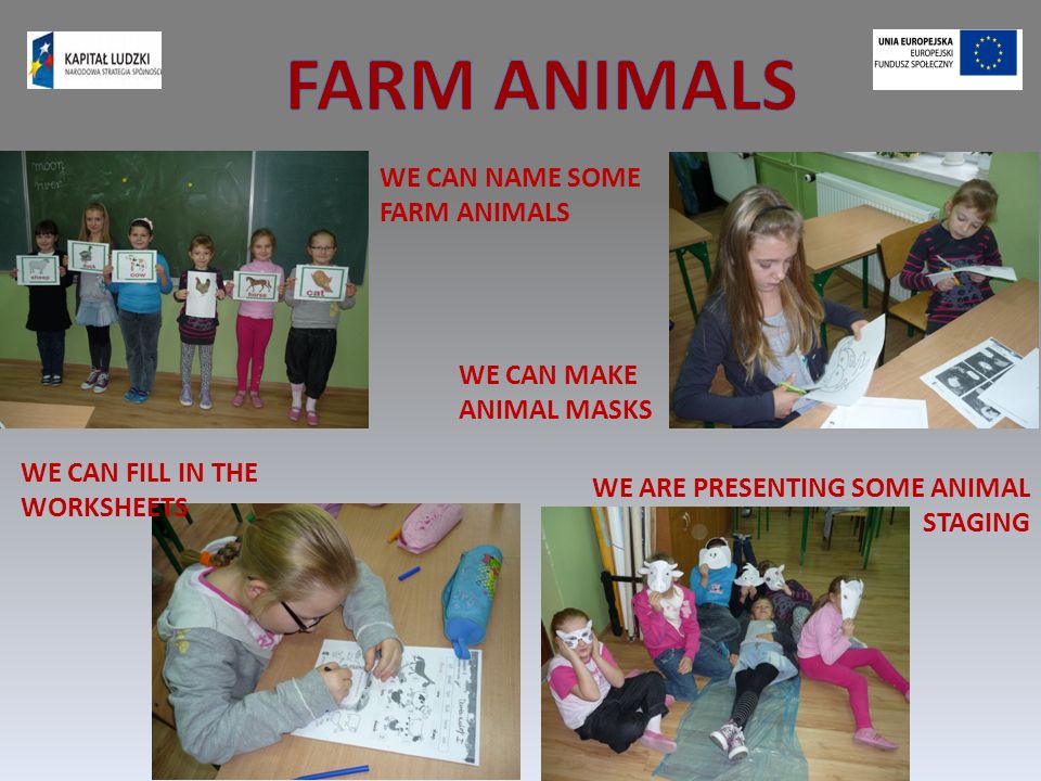 WE CAN NAME SOME FARM ANIMALS WE CAN MAKE ANIMAL MASKS WE CAN FILL IN THE WORKSHEETS WE ARE PRESENTING SOME ANIMAL STAGING