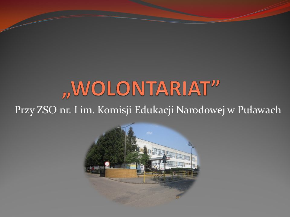 Przy ZSO nr. I im. Komisji Edukacji Narodowej w Puławach
