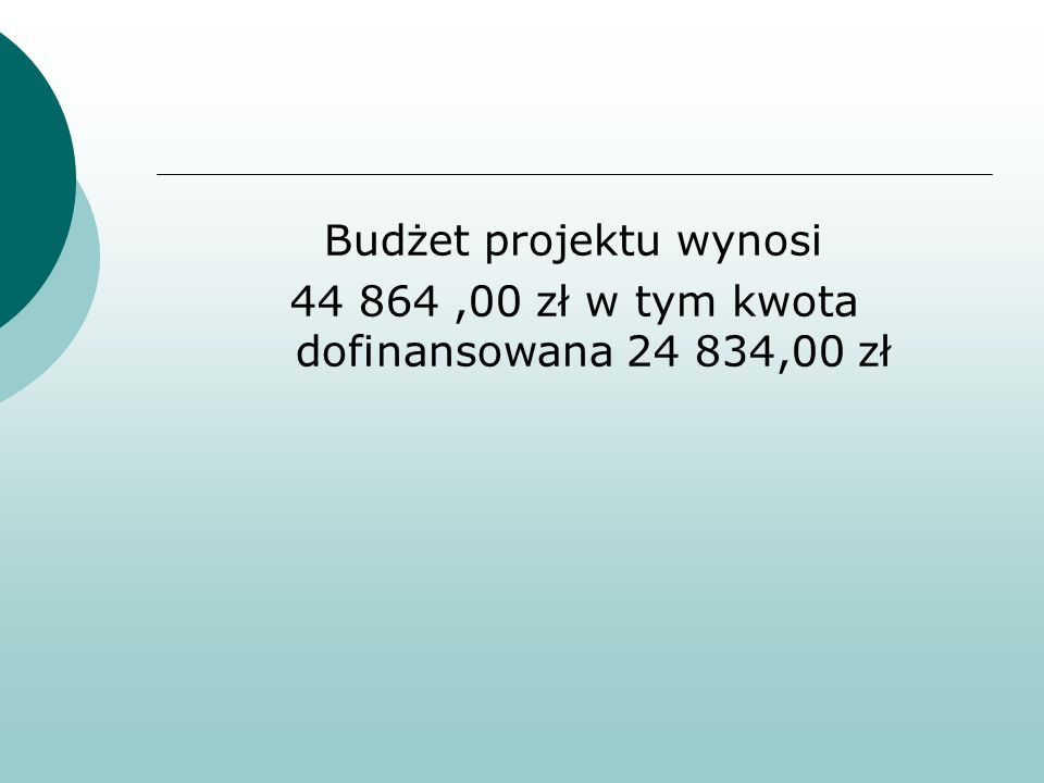 Budżet projektu wynosi ,00 zł w tym kwota dofinansowana ,00 zł